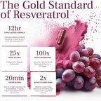 VINIA Piceid Resveratrol Supplement Capsules. Increases Blood Flow and Nitric Oxide. Blood Pressure and Heart Health Support | Antioxidant from Red Grapes | Non-GMO, 30 Count