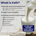 Pro Mix Kefir Probiotic Supplement with 12 Strains + Prebiotics for Gut & Immune Health | Travel-Friendly Powder Packs (30ct).