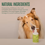 WagWell Ahiflower Omega Oil for Dogs | Vet-Formulated Health Supplement for Joints, Skin, Coat | Plant-Based Omega 3-6-9 Food Topper | for Dogs of All Ages & Sizes, All Natural, Made in USA | 8 fl oz
