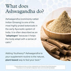 Youtheory Ashwagandha - Vegetarian Energy & Stress Support Supplement with Organic KSM-66 & Ginger Extract - Cane Sugar-Mixed Berry, 60 Gummies (20 Day Supply)