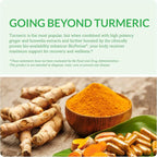 Organic Turmeric Curcumin Complex with Quercetin, Ginger and Boswellia - 60 Capsules