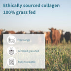 Igennus Free Range Grass Fed Hydrolyzed Bovine Collagen Peptides, Neutral Taste, 100% Highest Grade Bovine Collagen Protein Powder, Types 1, 2 & 3, Clean Label, Non-GMO, Free Range,4 x 40 Servings