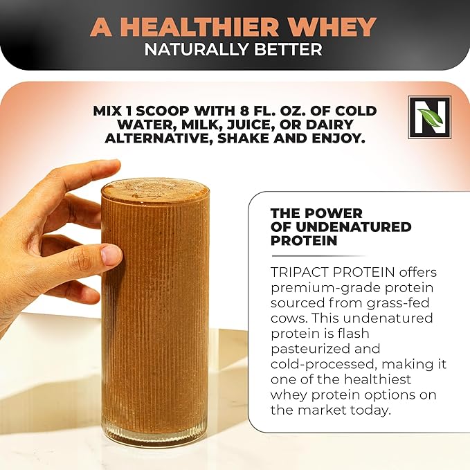 Nutrology TRIPACT Protein Powder - 7-in-1 Meal Replacement Shake with Grass Fed Whey Protein Powder, Pea, Rice, Greens for Muscle Recovery & Immunity, Creamy Chocolate Flavor, 20 Servings