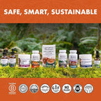 Host Defense MycoBotanicals Energy* Capsules - Energy & Respiratory Support Supplement - Herbal Green Tea Capsules - Respiratory Supplement with Cordyceps, Reishi & Chaga - 60 Capsules (30 Servings)*