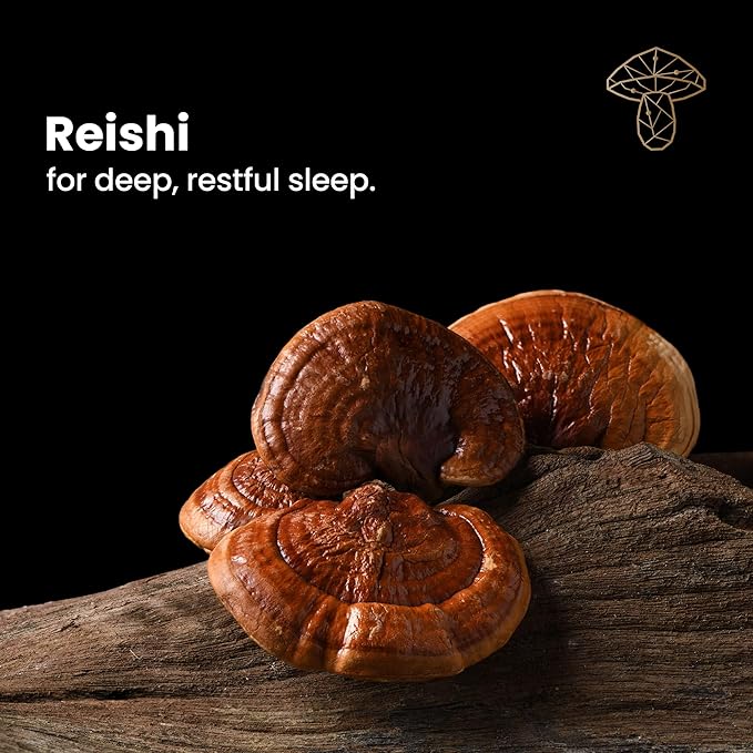 Sleep - Natural Sleep Supplement with Reishi, Valerian Root, and Skullcap | Regulating Long-Term Sleep Cycles - 60 Capsules