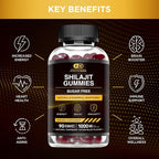 Effective Nutra Shilajit Gummies 1000mg | Pure Shilajit Resin for Energy, Brain & Immunity | Supplement for Men & Women | Sugar-Free, Vegan, Gluten-Free | Natural Berry Flavor, Made in USA (90ct)