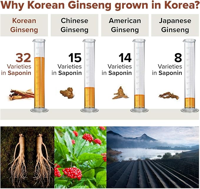 Saponin Hanppuri Everyday Korean Red Panax Ginseng Extract Stick - 3000mg High Potency Liquid Supplement - Caffeine Free Energy & Immune Support - 30 Packets