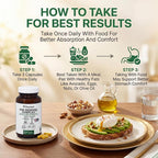 Age Renewal Complex - Cellular Renewal & Senescent Cell Removal Support - Fisetin, Quercetin, Curcumin, Zinc -Senolytic & Autophagy Aid Supplement - - Non-GMO, USA Made Glass Bottle