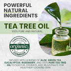 Tea Tree Body Wash MaxTherapy, Itchy Skin Relief Soap, Soothes Jock Itch, Athlete's Foot, Acne, Eczema, Psoriasis & Sensitive Skin, Intimate Wash, Men & Women, 2-Pack, Original Edition