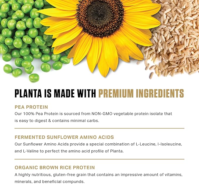 Ambrosia Planta - Plant-Based Protein Powder 20g | Dairy Free Vegan Protein Powder with BCAA Amino Acids | Keto-Friendly, No Added Sugar | 25 Servings | Cookies Cream