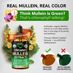 Mullein Drops for Lungs - USDA Organic Liquid - Mullein Leaf Extract Supplement - Made in USA - Lung & Bronchial Cleanse for Smokers - Respiratory Health Support - As Tincture, Tea, Pills - 4 fl oz