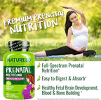 NATURELO Prenatal Multivitamin with Gentle Chelated Iron, Methyl Folate, Plant Calcium & Choline - Vegan, Vegetarian - Non-GMO - Gluten Free - 180 Capsules - 4 Month Supply (Pack of 2)