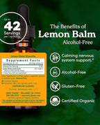 Herb Pharm, Lemon Balm Alcohol Free, 1 Fl Oz