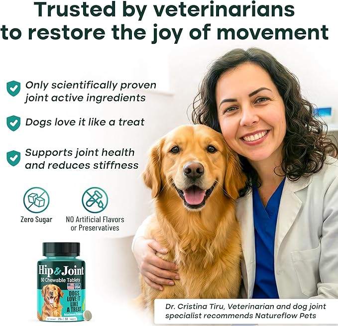 Natureflow Hip & Joint Supplement for Dogs, 300mg Green-Lipped Mussel for Dog Arthritis Pain Relief, Glucosamine, MSM & Chondroitin, Zero Sugar, Large Medium Small Breeds, 50 Chewable Tablets