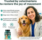 Natureflow Hip & Joint Supplement for Dogs, 300mg Green-Lipped Mussel for Dog Arthritis Pain Relief, Glucosamine, MSM & Chondroitin, Zero Sugar, Large Medium Small Breeds, 100 Chewable Tablets