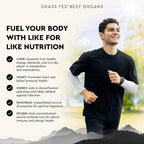 Ancestral Supplements Grass Fed Beef Organ Supplement, Supports Whole Body Wellness with Proprietary Blend of Liver, Heart, Kidney, Pancreas, Spleen, Freeze-Dried Beef, Non-GMO, 180 Capsules