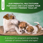 Dog Prenatal Vitamins for Moms During Lactating – Prenatal Vitamins for Dogs & Cats of All Breeds to Care for Pet Development – Multivitamin for Cats – 2 Oz – Herbal Supplement for Pets
