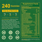 Greens Daily Gummies, Super Greens Gummies for Adults Superfood Multivitamin Gummy with Spirulina, Chlorella, Prebiotic Fiber, Fruit Veggie for Digestive & Gut Health, Adaptogens Supplement, 240 Count