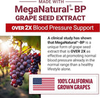 Force Factor Total Beets Blood Pressure Support Supplement with Beets Powder, Great-Tasting Chewables for Heart-Healthy Energy, and Increased Nitric Oxide, 120 Chews, 2-Pack