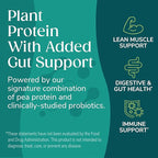 Wonderslim Protein Chips with Probiotics, Sour Cream & Onion | 12g Plant Protein, 170 Cal | High Protein Chips, Vegan, Gluten Free, Non-GMO | Made with Avocado Oil, No Seed Oils | 12 Pack
