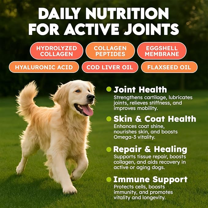 Collagen for Dogs - 150 Chews - Joint, Skin & Coat Supplement with Hyaluronic Acid, Eggshell Membrane & Vitamin C - Daily Hip & Joint Support for Senior Dogs & Puppies - Chicken