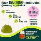 Probiotic Kombucha Gummy - Prebiotics, Probiotics, Postbiotics, Fiber Supplement, Slippery Elm, Dandelion Root, for Bloating, Gut Health - for Women and Men - Lemon Lime (Lemon Lime)
