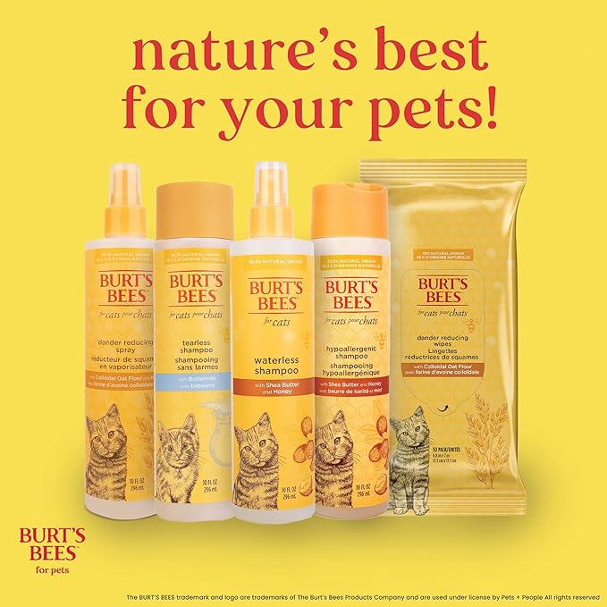 Burt's Bees for Pets Kitten Grooming Wipes with Buttermilk and Honey, Waterless Cat Bath Wipes for Face, Paws, Tail and Coat Cleaning, Gentle Bath Alternative for Indoor Felines, 50 Count - 6 Pack
