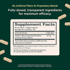 Genius Caffeine - Sustained-Release Microencapsulated Caffeine Pills for Smooth, Long-Lasting Energy & Focus - No Jitters or Crash - 100mg per Capsule - 100 Servings - Natural Performance Booster