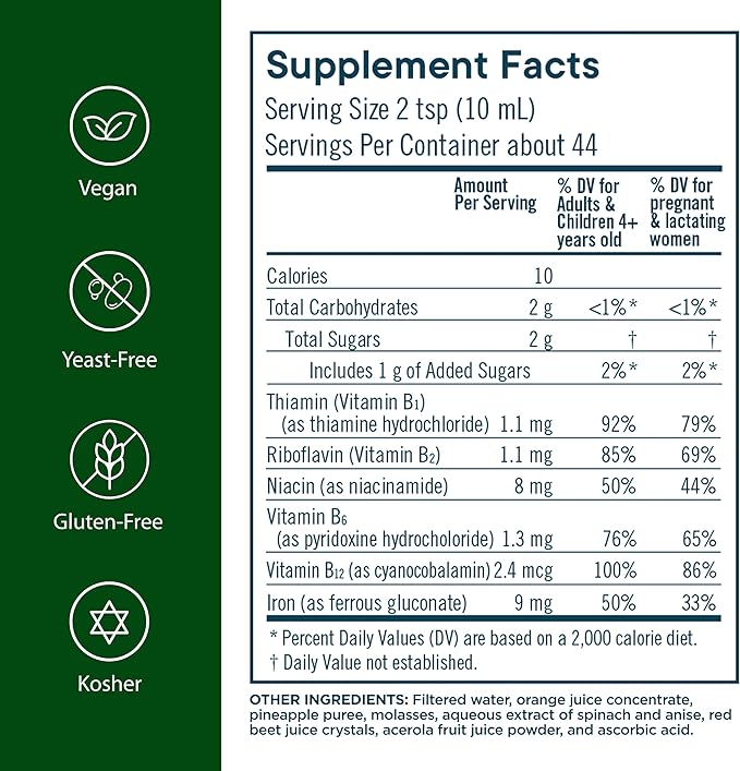 Flora Iron with B-Vitamin Complex - Helps Maintain Healthy Iron Levels - Non-Constipating, Highly Absorbable - Vitamin-B & Liquid Iron - Vegan Supplement - Yeast & Gluten Free, 15-oz. Glass Bottle