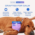 Native Pet GutWell Stress Support - Dog Anxiety Relief & Calming Supplement - Promotes Emotional Wellbeing, Regulates Stress Response & Balances Gut-Brain Axis - Triple-Biotic & Magnesium -120 Scoops