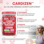 Clean Nutra CoQ10 Gummies Red Yeast Rice Hawthorn K2 Vitamin Supplement Magnesium Glycinate Turmeric Citrus Bergamot Hibiscus VIT D K Fenugreek Garlic Supplements Heart Support Gummy 60ct