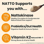 Matcharl Japanese Natto Powder, Freeze-Dried 50g (1.76oz) Nattokinase & Vitamin K2 | Fermented Soybean Superfood Supports Gut Health | Probiotic & Prebiotic | Non-GMO, Vegan, Made in Japan