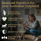 Australian Shepherd Multivitamins, 90 Count, Made in the USA with Real Bacon