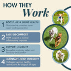 Wholistic Pet Hip & Joint Supplement for Dogs - MSM, Glucosamine, Chondroitin for Dogs - Dog Joint Supplement for Support & Relief from Discomfort - Bacon - 90 Mobility Chews