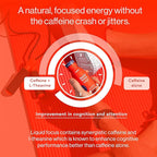 More Labs Liquid Focus, Nootropic Smart Drink with Powerful Antioxidants & Adaptogenic Herbs for Energy and Concentration, 150mg Caffeine (Pack of 24)