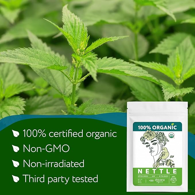 Nettle Tea Organic (40 Tea Bags) - Stinging Nettle Leaf TeaBags – Ortiga Tea for Optimal Health, Immune Support, Kidney - Te de Ortiga Organico Natural