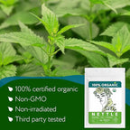 Nettle Tea Organic (40 Tea Bags) - Stinging Nettle Leaf TeaBags – Ortiga Tea for Optimal Health, Immune Support, Kidney - Te de Ortiga Organico Natural