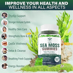 Sea Moss Gummies Sugar-Free, Extra Strength Irish Moss Gel Supplement with Iodine, Chlorophyll, Unfiltered ACV, D3, Burdock Root, Bladderwrack for Immune, Digestive, Skin, Hair, Det❤️x, Vegan, 2Pack