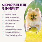 Health Extension Chondroitin with Glucosamine for Dogs, 16oz - Arthritis Pain Relief, Joint & Hip Supplement, Cheese Flavored Powder