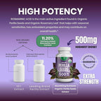 Organic Perilla Seed Extract with 9% Rosmarinic Acid - USDA Certified - Allergy Relief, Respiratory and Immunity Booster- Th2 Cytokines, Naturally Occurring Luteolin - 500mg 90 capsules