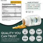 Omega 3 Supplement - Omega-3 Fish Oil 2000mg - Natural Source of EPA & DHA - Heart, Brain & Joint Health - Kosher Certified Wild Caught Marine Fish - 200 Vegetarian Softgels by Maxi Health