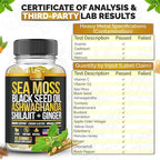 Sea Moss, Black Seed Oil, Ashwagandha, Ginger, Shilajit Gummies with Elderberry, Chlorophyll, Turmeric Bladderwrack Sea Moss Gummies Advanced Strength Formula - All in 1 Bundle - USA Made (60 Gummies)