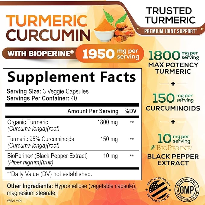 Turmeric Curcumin Supplement - 95% Curcuminoids with Organic Turmeric & BioPerine Black Pepper for Best Absorption - Daily Joint & Immune Health Support, Vegan, Non-GMO, Bottled in USA - 120 Capsules