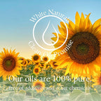 White Naturals Sunflower Seed Oil, Pure and Natural, Cold-Pressed, for Skin Care, Massage, Hair Care, and to Dilute Essential Oils, 4 fl oz