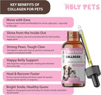 Grass-Fed Liquid Collagen for Dogs & Cats – 5 Types I, II, III, V, X – Joint, Skin & Coat Support – Hyaluronic Acid – Hydrolyzed Bovine, Fish & Chicken Collagen – 2oz, 30 Servings