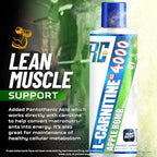 Ronnie Coleman Signature Series L Carnitine XS 4000 Liquid, Stimulant Free, Sugar Free, Zero Carbs, Lean Muscle Strength Support for Men & Women, 16 Oz (16 oz, Apple Bomb (4000))