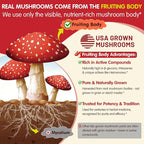 Kids, Teens & Adults Focus Gummies - Lions Mane Mushroom + Saffron + Algae Omega-3, 24-IN-1 Attention Supplement with Chaga, Magnesium, Methylated B12, B6 for Brain, Memory, Energy, Sugar Free, 60Cts