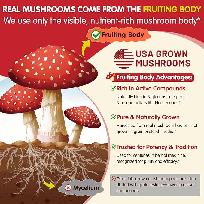 Kids, Teens & Adults Focus Gummies - Lions Mane Mushroom + Saffron + Algae Omega-3, 24-IN-1 Attention Supplement with Chaga, Magnesium, Methylated B12, B6 for Brain, Memory, Energy, Sugar Free, 60Cts