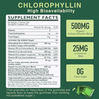 Chlorophyll Gummies - Super Green with Wheat Grass, Sea Moss, Unfiltered ACV & Elderberry, Echinacea, Zinc Complex & Vitamin D3, C, E, B12 for Natural Deodorant, Immune & Digestion Support, Pack of 2