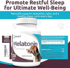 K9 Select Melatonin for Large Dogs - Anxiety Relief Treats for Sleep, Stress, Thunderstorms & Fireworks - Calming Chews for Dogs Anxiety Small & Large Breed, 6 mg, 120 Peanut Butter Tablets